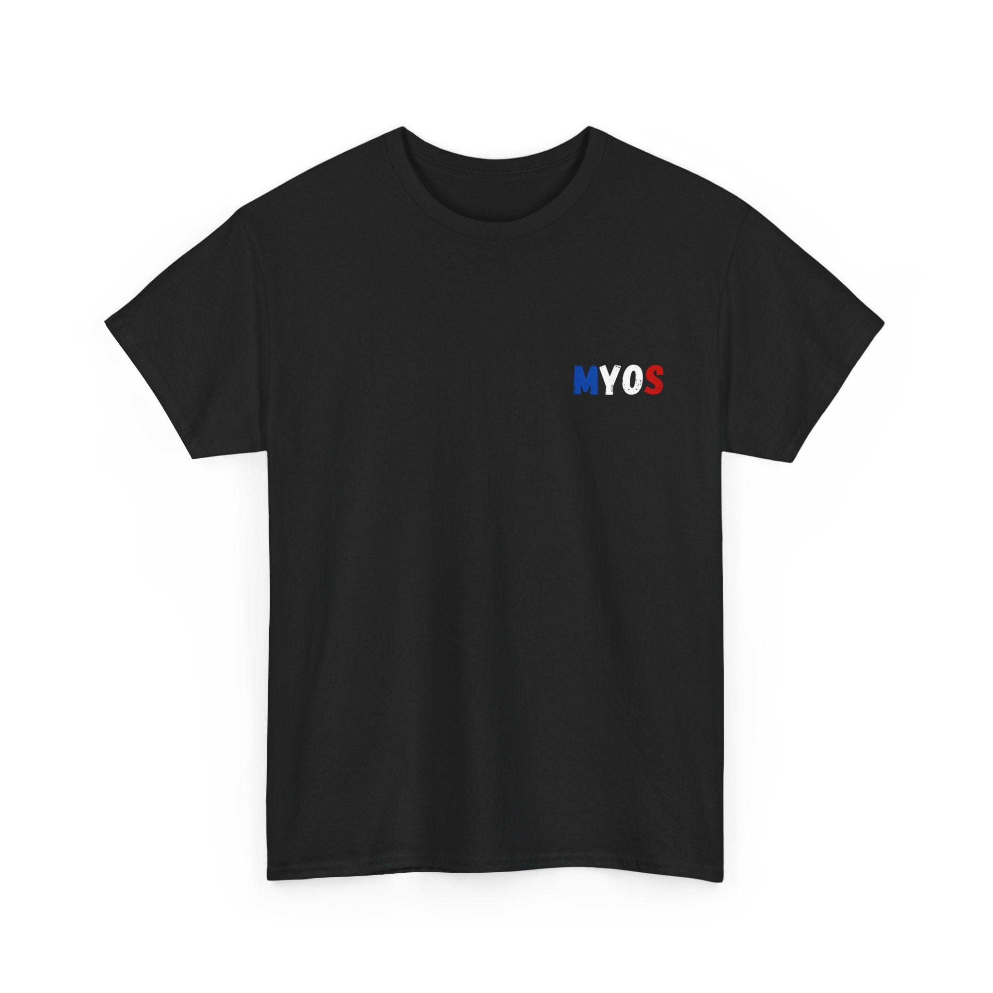 Men's T-shirt The Arc de Triomphe