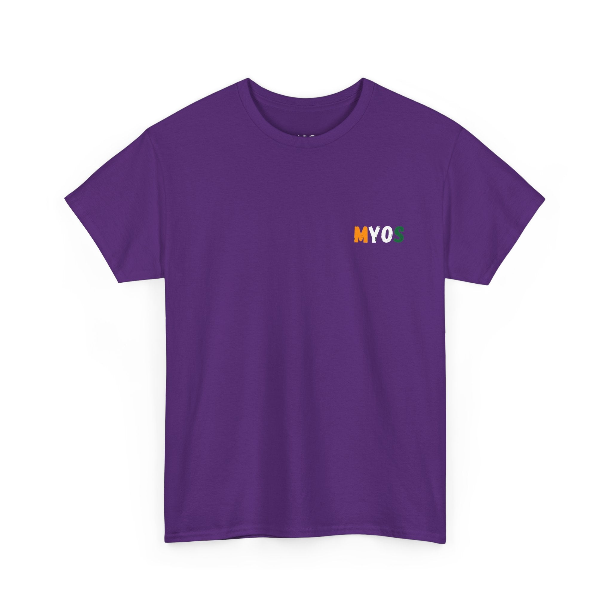 Men's T-shirt The Taj Mahal